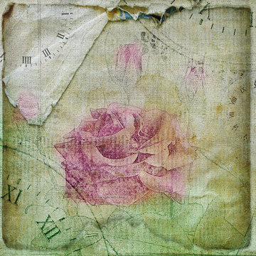 Old torn crumpled paper  with hand drawn rose