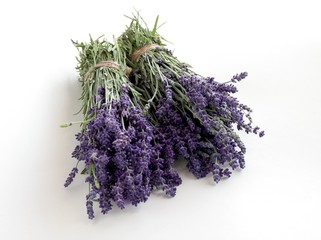 lavender herb with lila flowers