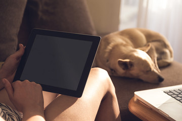 Close up on woman hands holding blank tablet and reading with sleeping dog in the background
