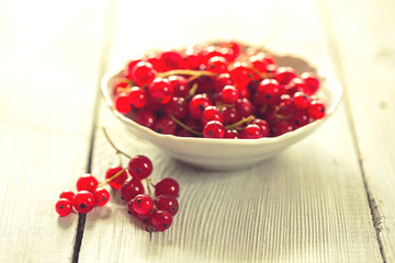 Fresh red currant