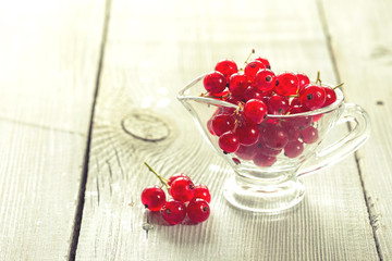 Fresh red currant