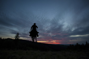 Cowboy on a horse