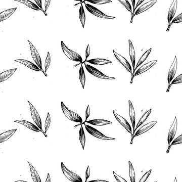 seamless vector pattern with olive branch
