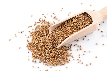 Coriander seeds in wooden scoop