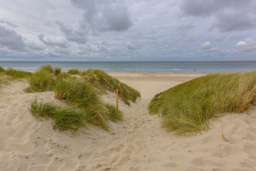 Beach dune sea vista