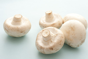  five white mushrooms