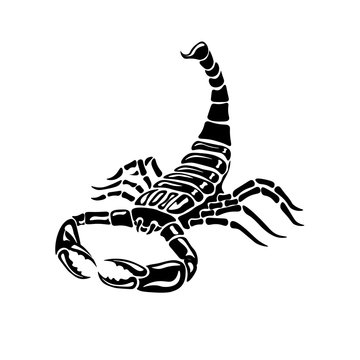 Aggressive black and white Scorpion for tattoos, zodiac sign.