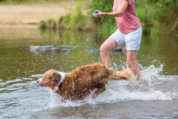 woman plays with a dog in a river
