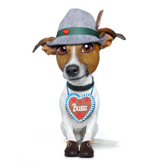 bavarian beer dog