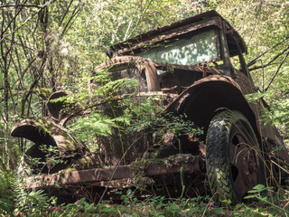 Fototapeta na wymiar Old Rusty Vintage Truck Abandoned in the Forest