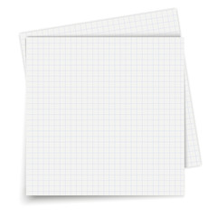 Papers exercise book in a cell. Texture notebook sheets illustration. Sheets of paper icon.