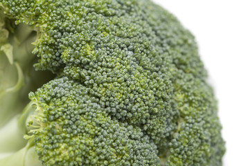 Head of fresh green broccoli