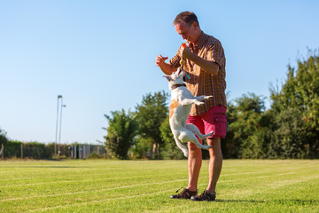 Fototapeta premium man plays with his dog on the meadow