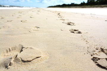Sea - Sandy beach