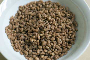 Bowl of chocolate breakfast cereal