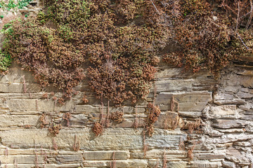 Old textured wall background 