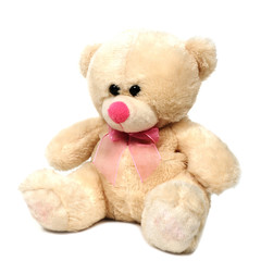 Single teddy bear doll on white background
