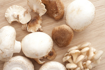 Japanese and regular fresh mushrooms