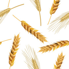 wheat and rye ears seamless pattern