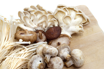 Assortment of edible mushrooms