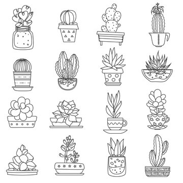 Cactus Line Icons Set 