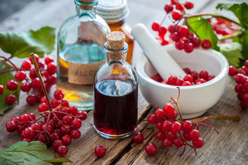 Bottles of Guelder rose (Red Viburnum) tincture and mortar of he