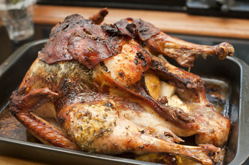 Whole roast turkey