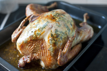 Roast Thanksgiving turkey