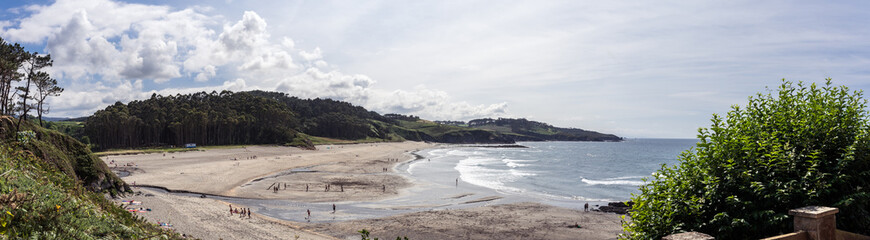 Beautiful  seaview from green forest