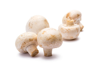 Five Champignon Mushrooms Isolated on White