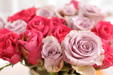 A bouquet of pink and purple roses