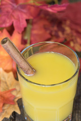 Orange juice drink with cinnamon and fall foliage