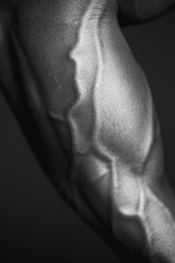 Human Body Forearm In Black and White