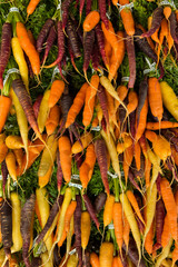 Rainbow Carrots
