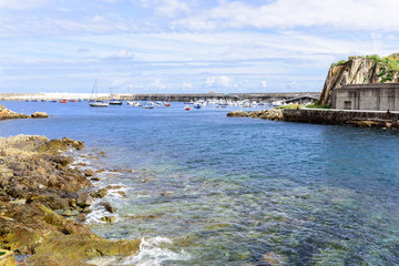 Beautiful  seaview from green forest