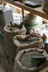 raw coffee beans are in a sacks