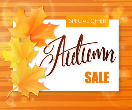 vector hand drawn autumn lettering sale label with leaves and paper sheet on stripped watercolor background