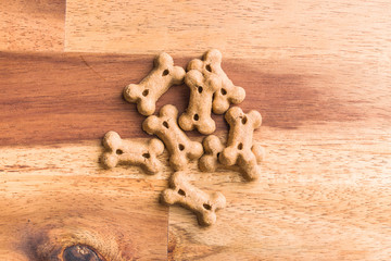 Dog food shaped like bones.
