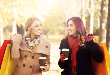 Couple of young women with shopping bags in the park