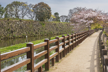 Pathway in garden in Japan