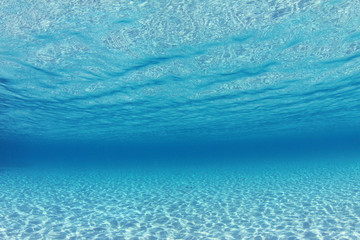 Obraz na płótnie Canvas Underwater background. Blue ocean