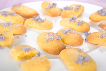 Naklejka na ściany i meble Kekse mit lilafarbenen Zucker