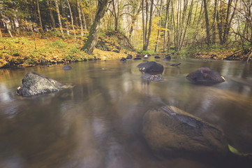 forest stream in autumn, colorful stitching, flowing water falle