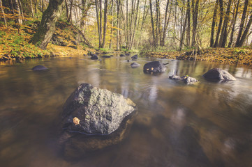 forest stream in autumn, colorful stitching, flowing water falle