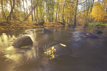 forest stream in autumn, colorful stitching, flowing water falle