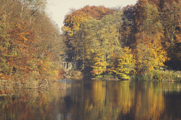 Lake in autumn, colorful robes, yellowed, colorful leaves on tre
