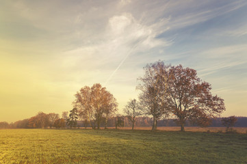 Fototapeta premium autumn