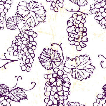 Ink hand drawn seamless pattern with grape