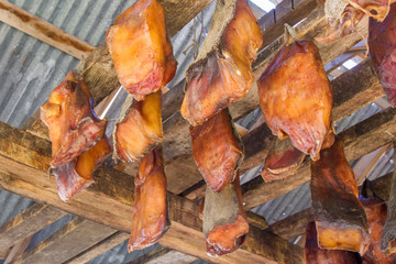 Iceland's fermented shark © michaklootwijk