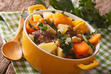 South American cuisine: thick soup Pouchero close-up in a pot. horizontal
